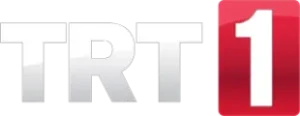 RT TV Logo 2024